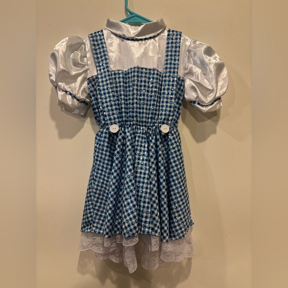 Blue and White Gingham wizard of OZ Dress with Puff Sleeves